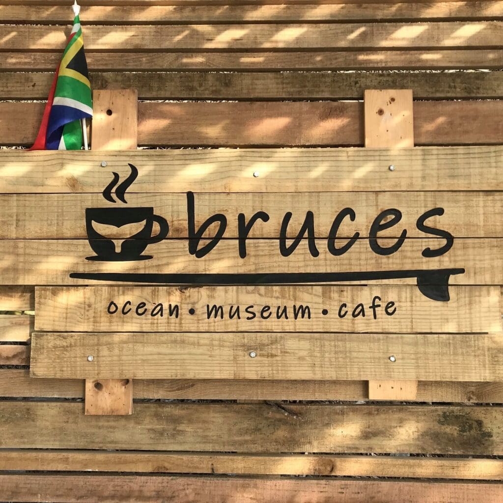 Bruces • ocean • museum • cafe