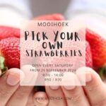 Pick your own Strawberries