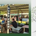 Milkwood Farmers Market
