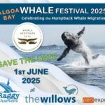 Whale Festival 2025