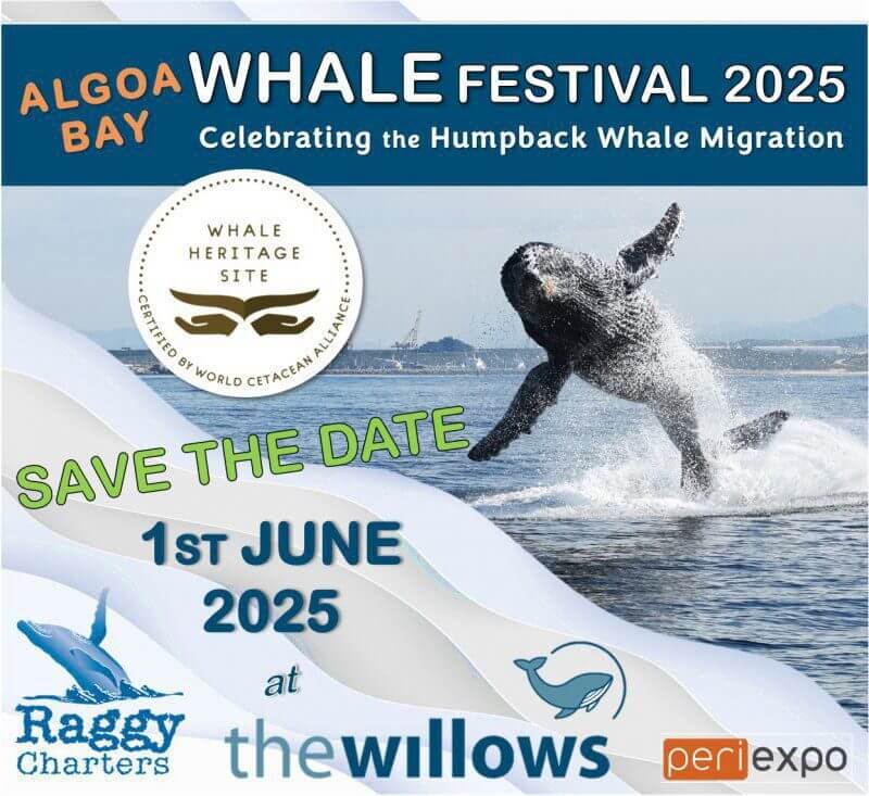 Whale Festival 2025
